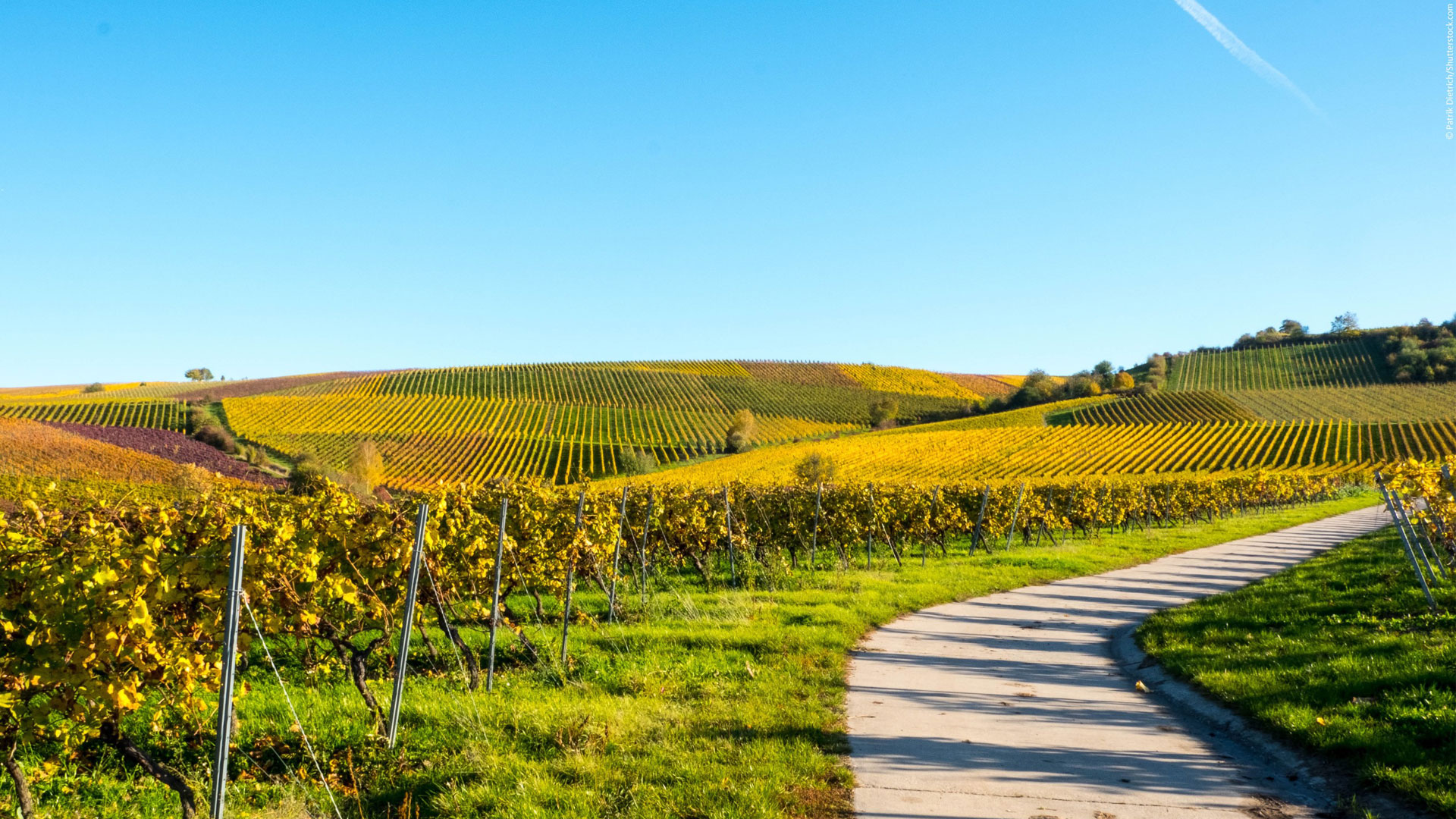 Mit Erfahrung und Erfolg fr Rheinhessen